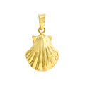Anhänger 333 Gelbgold Muschel Motiv