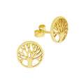 Ohrstecker 333 Gelbgold