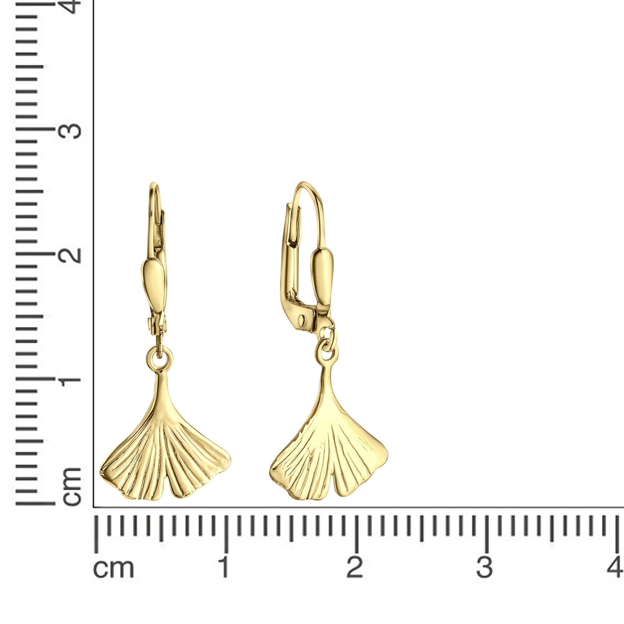 Ohrhänger 333/- Gelbgold
