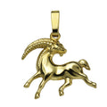 Anhänger Sternzeichen Steinbock 585/- Gelbgold glanz