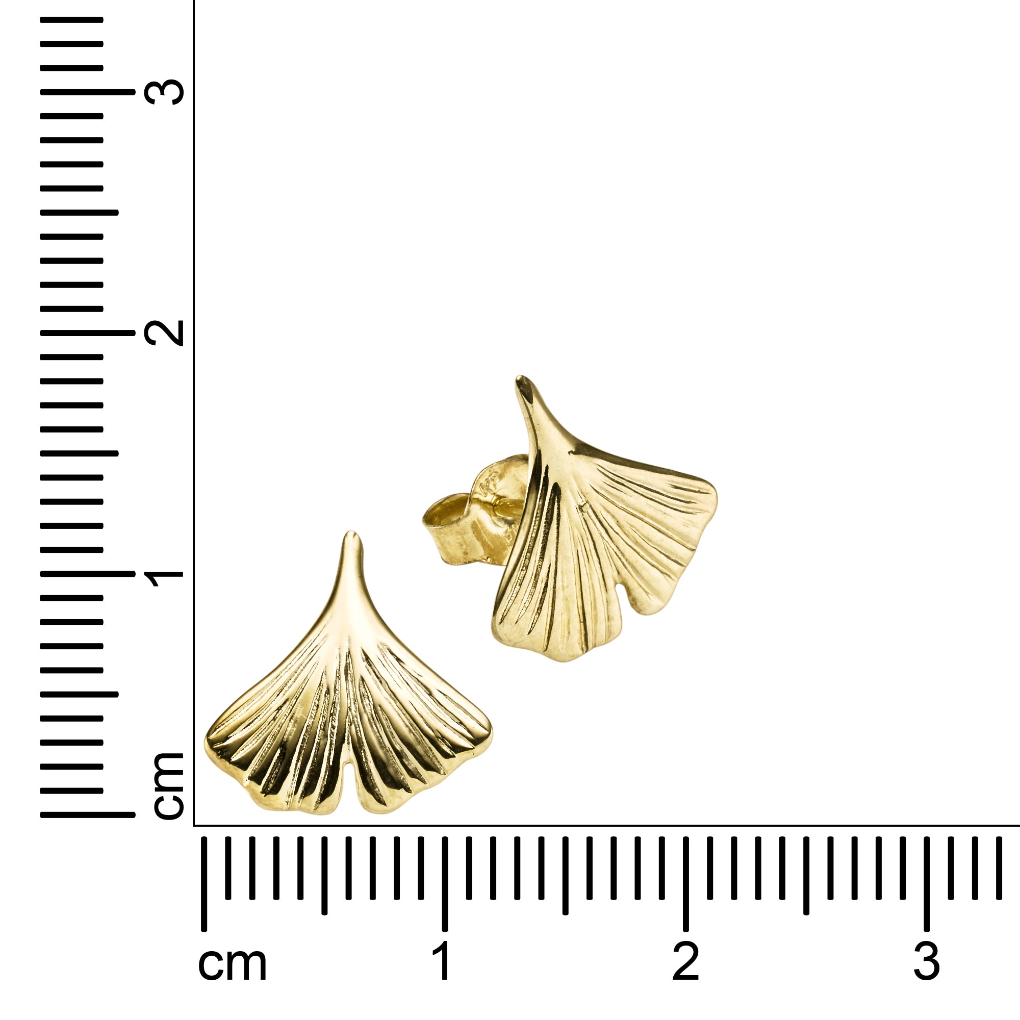 Ohrstecker 333/- Gelbgold Ginkgo 12x12mm