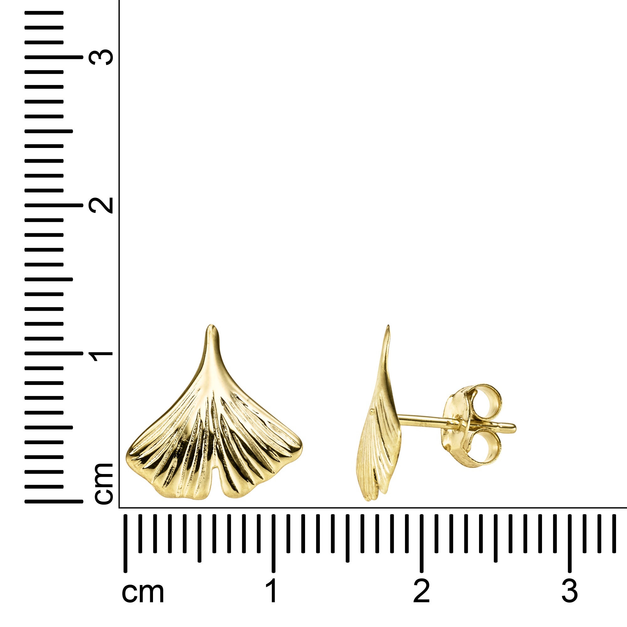 Ohrstecker 333/- Gelbgold Ginkgo 12x12mm