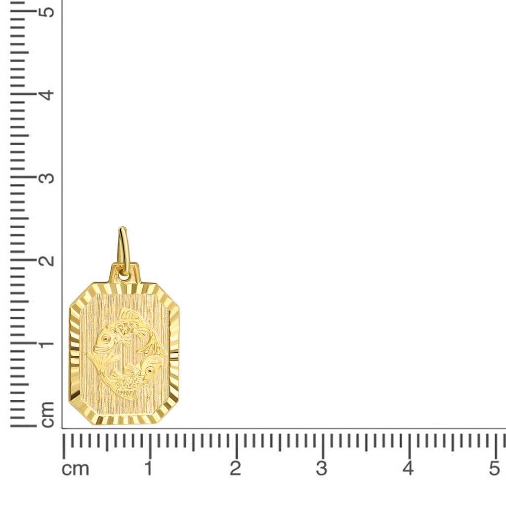 Anhänger Sternzeichen Fische 333/- Gelbgold
