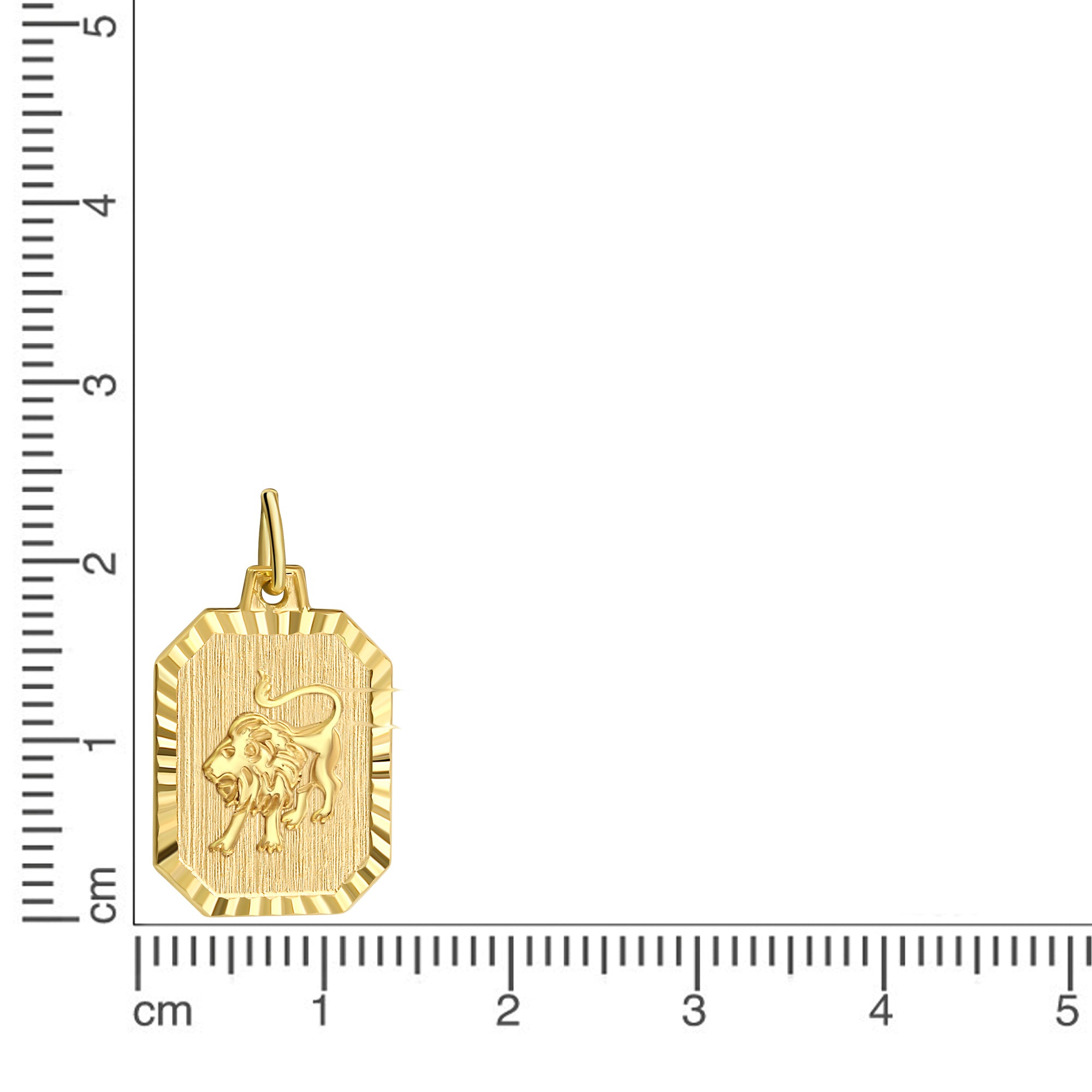 Anhänger Sternzeichen Löwe 333/- Gelbgold