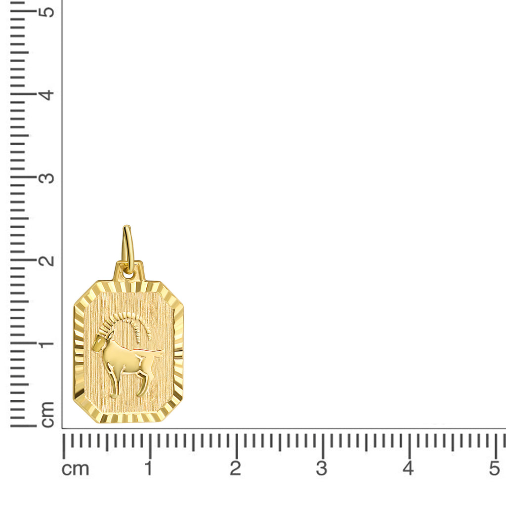 Anhänger Sternzeichen Steinbock 333/- Gelbgold