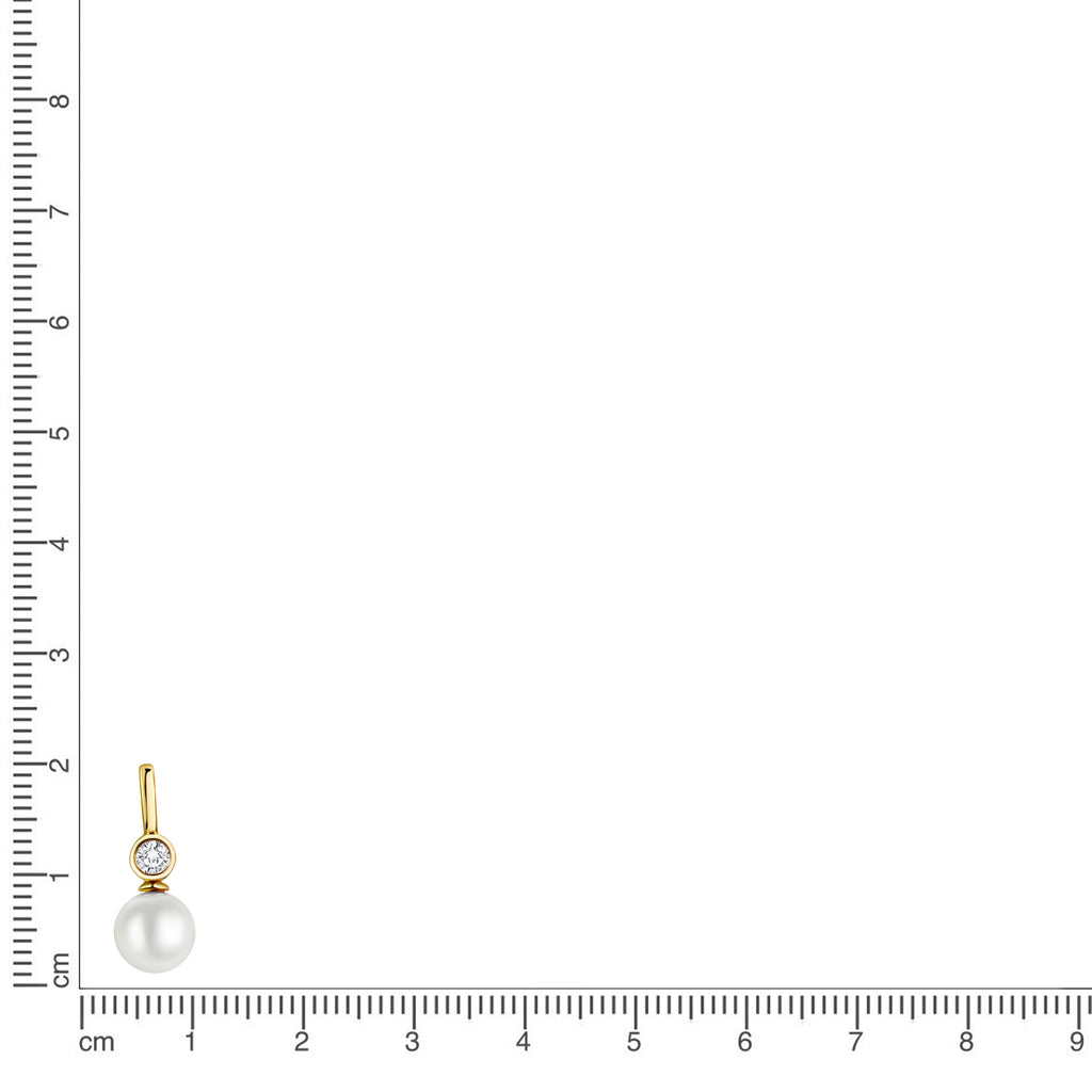 Anhänger 333 Gelbgold glanz SWZP und Zirkonia