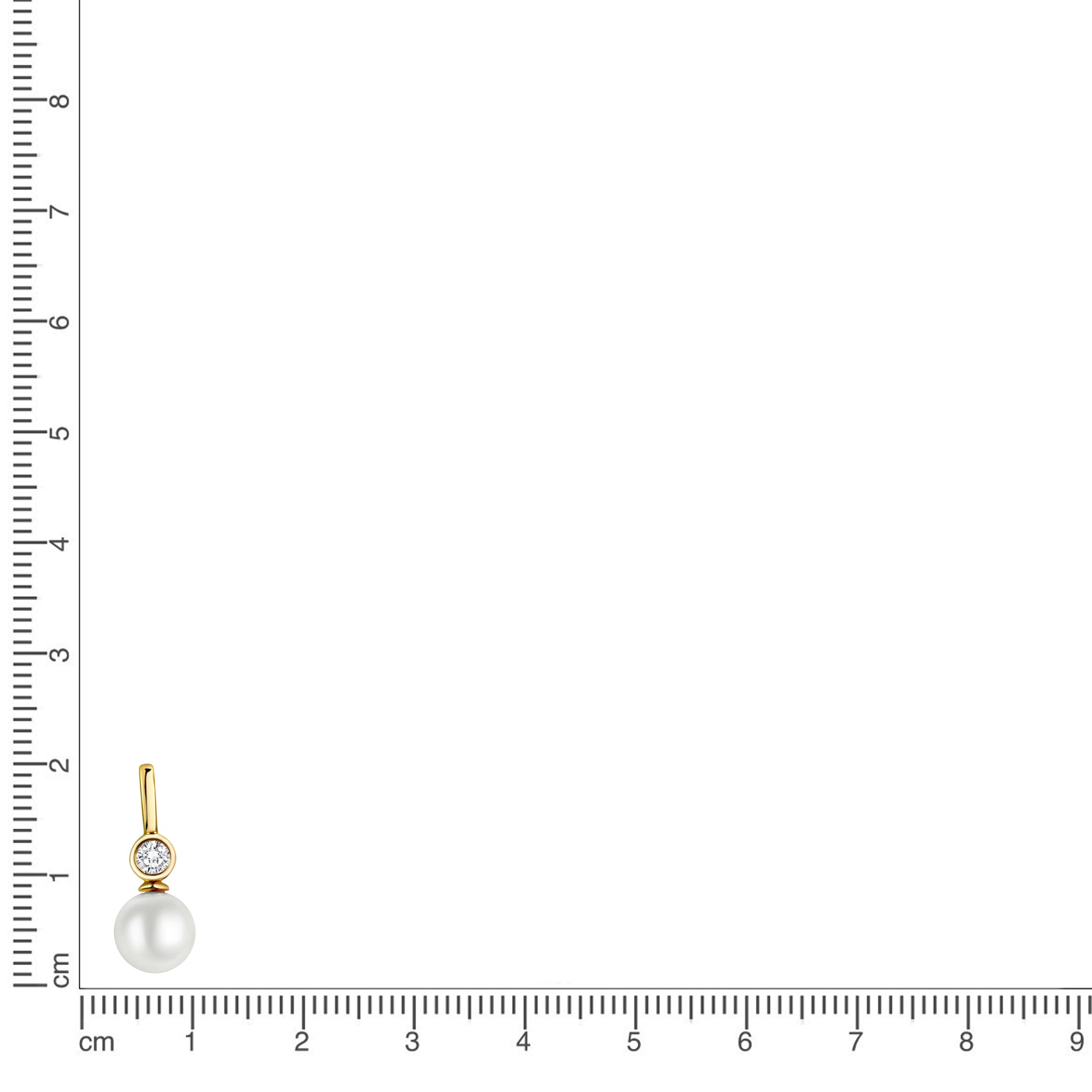 Anhänger 333 Gelbgold glanz SWZP und Zirkonia