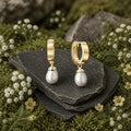 Creolen-375-Gelbgold-Suesswasserzuchtperle-klassisch-modern-elegant