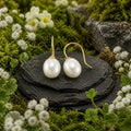 Ohrhänger 375/- Gelbgold glanz Süßwasserperle 8-8,5mm